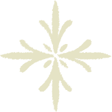 Floating vector
